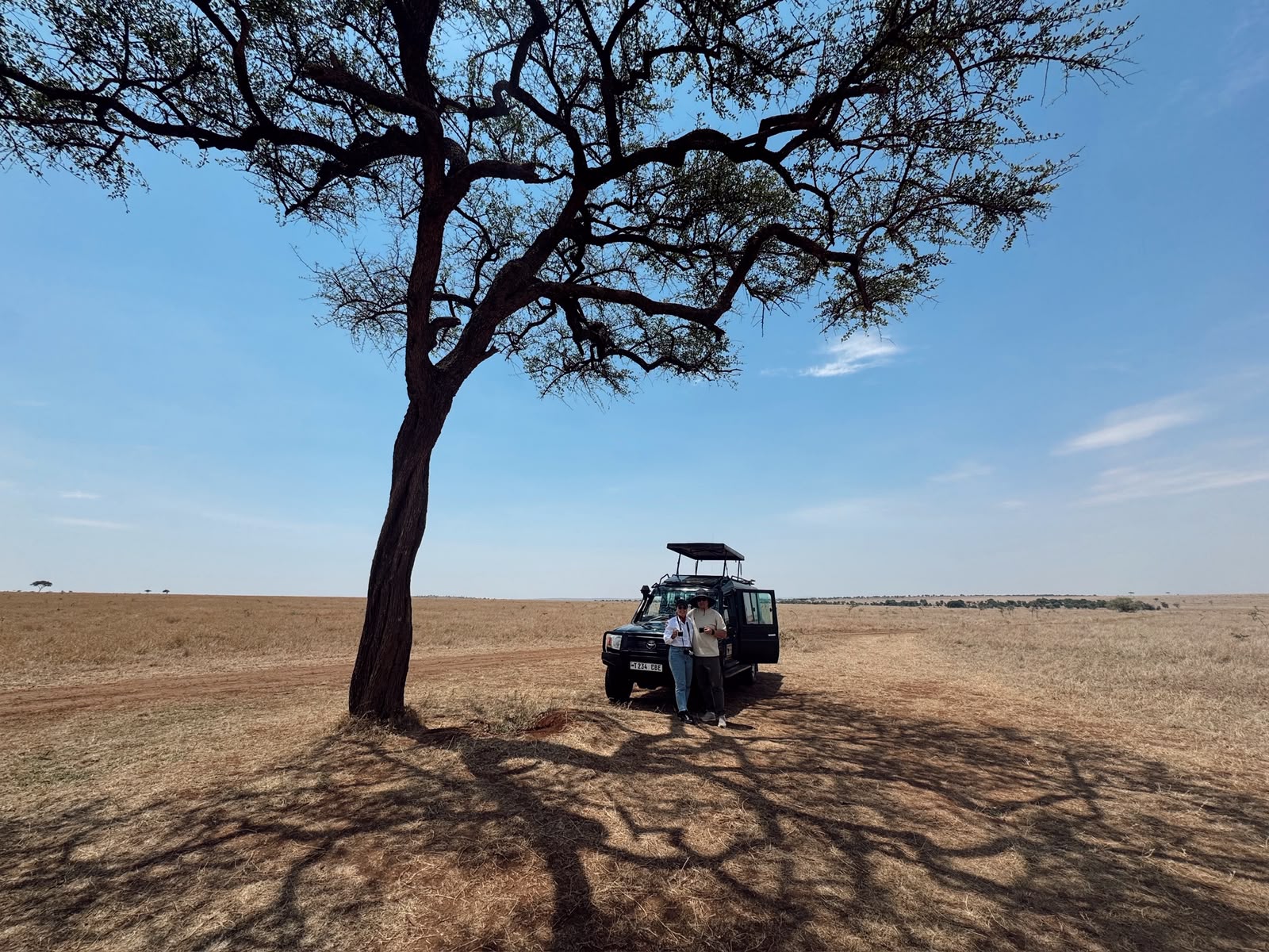 Vehículo de safari bajo una acacia en el Serengeti